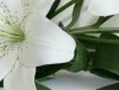 Марина Грунтовская ˜”*°•..•°*”˜ | Кириши