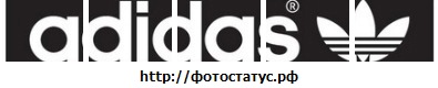 №4, Александр Довгань №4, Александр Довгань
