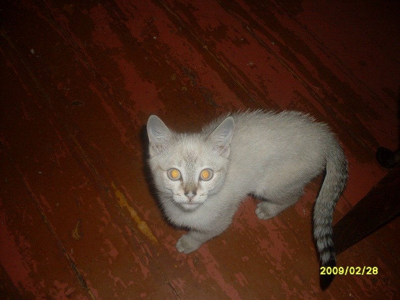 Владимир Швец Strannik-83 | Северодвинск