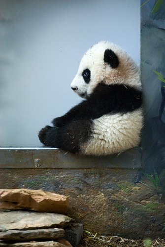 №5, Мария Пылаева-Гимазетдинова, Нижнекамск №5, Мария Пылаева-Гимазетдинова, Нижнекамск