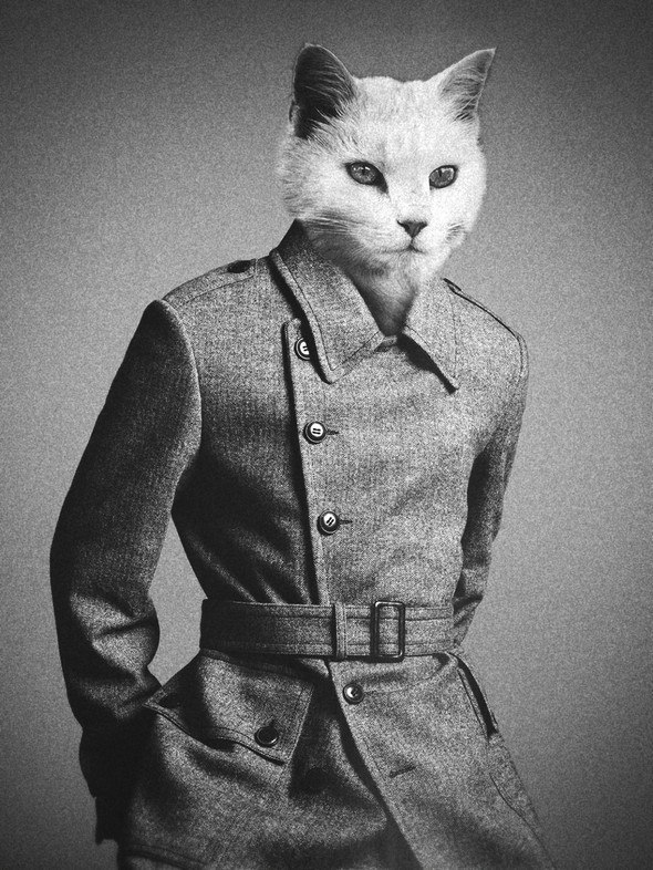 Denis Кириченко | Санкт-Петербург