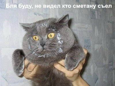 Мария Моисейчева | Киев