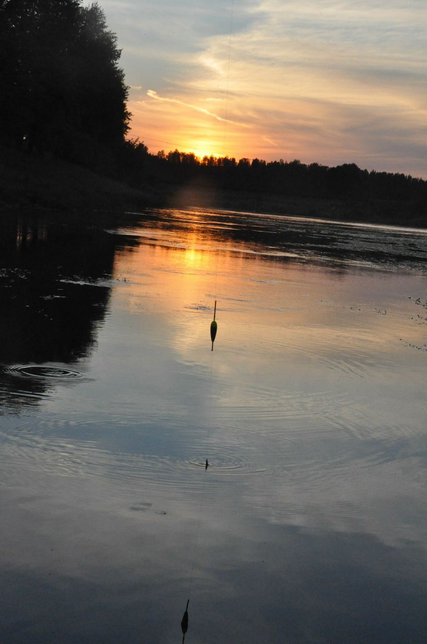 Asifna Пух | Москва