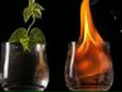 Дарья Емельяненко | Новосибирск