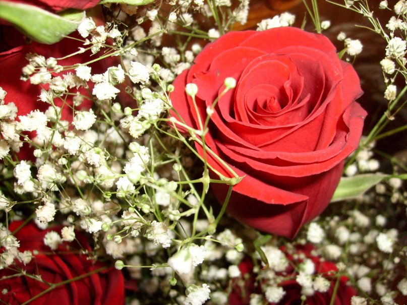 Галина Юркина | Воронеж