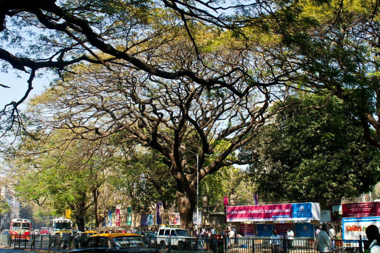Александр Залесов zall | Москва