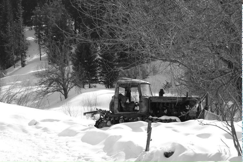 Олеся Артамонова | Алматы