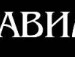 Алина Евдокимова фотография #46
