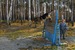 Марина Прокуронова фотография #44 (источник - https://vk.com/id69540277)