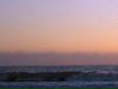 Анна Нехаева | 