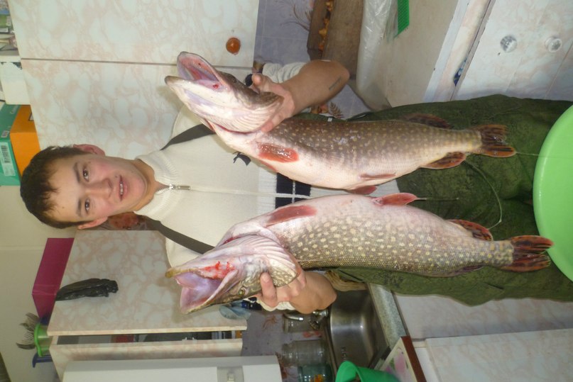 Стас Шаблаков | Москва