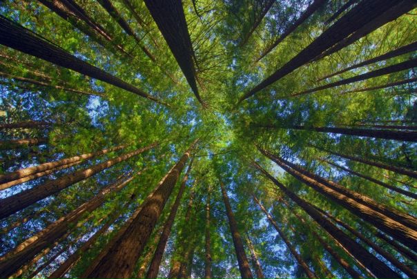 №97, Anna Podgrushnaya, 35 лет, Киев №97, Anna Podgrushnaya, 35 лет, Киев