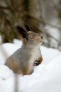 Фотография Сазоновой Ольги