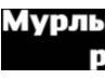Анастасия Плохотнюк порнография души | Санкт-Петербург