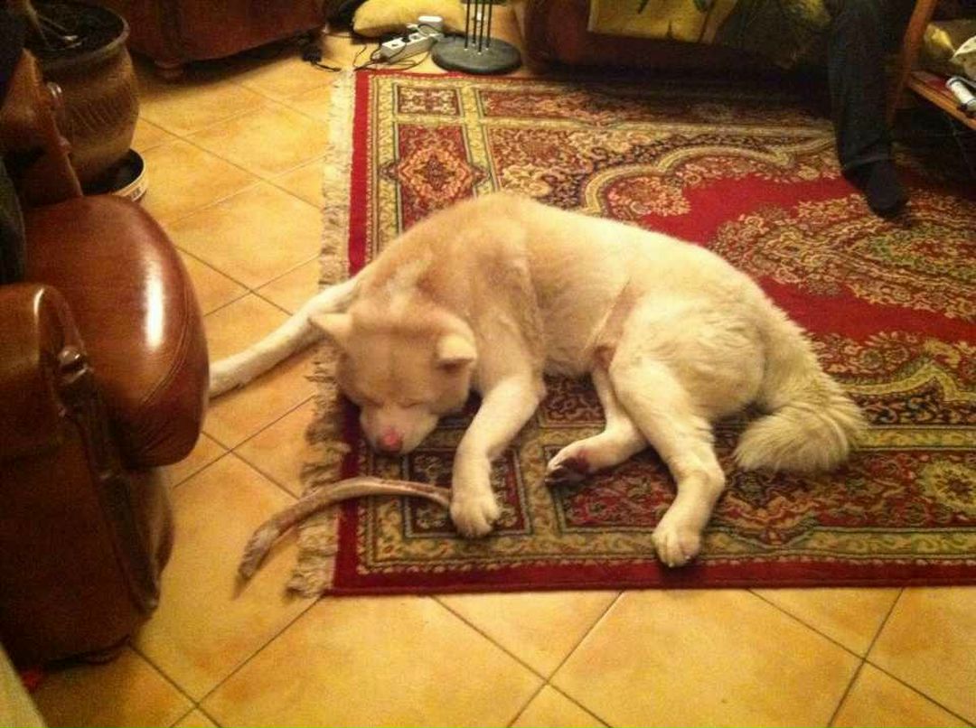 Александр Окатов | Каменск-Уральский