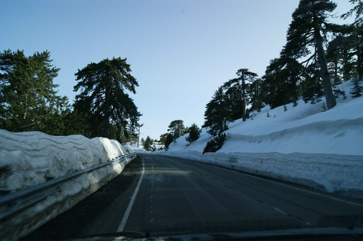 Анатолий Зырянов | Москва