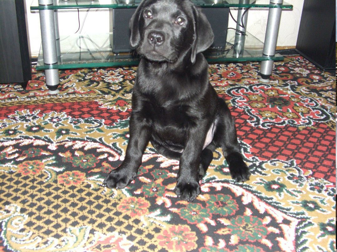 Светлана Кураева | Рыбинск