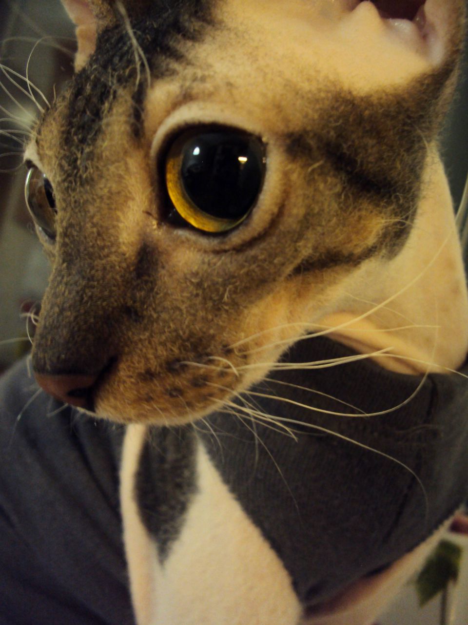 Наталия Фамильевна | Казань