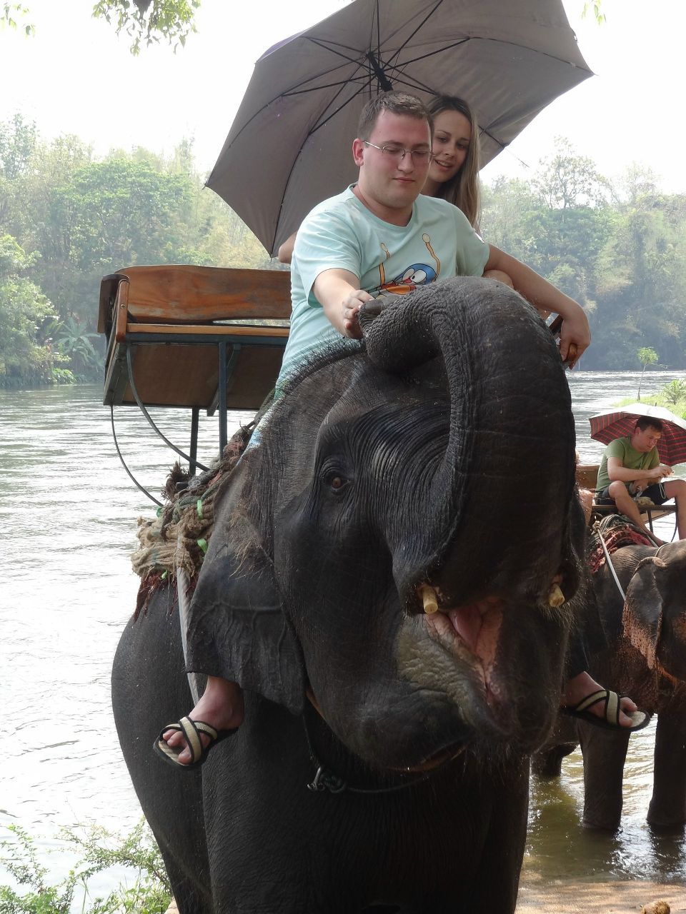 Дмитрий Тронин Вячеславович | Воронеж