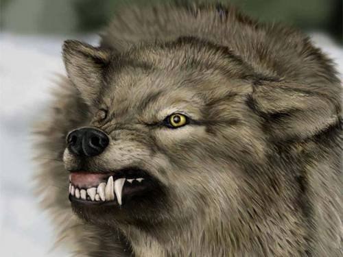 Рамиль Нуруллин | Казань