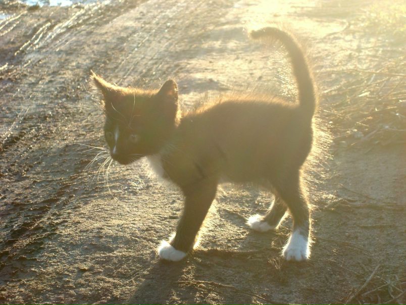 №103, Юлия Яровая, Санкт-Петербург, Россия №103, Юлия Яровая, Санкт-Петербург, Россия