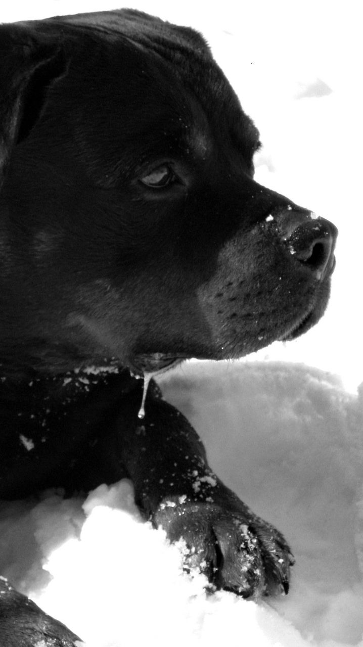 Kirill Panov | Йошкар-Ола