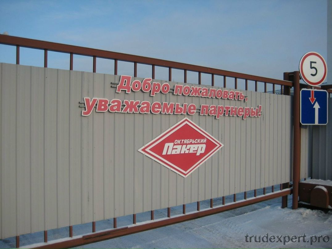 Сергей Смирнов | Санкт-Петербург