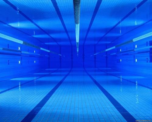 Даша Терра | 