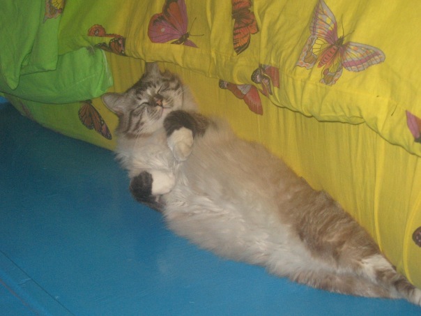 №30, Monahr Tih №30, Monahr Tih