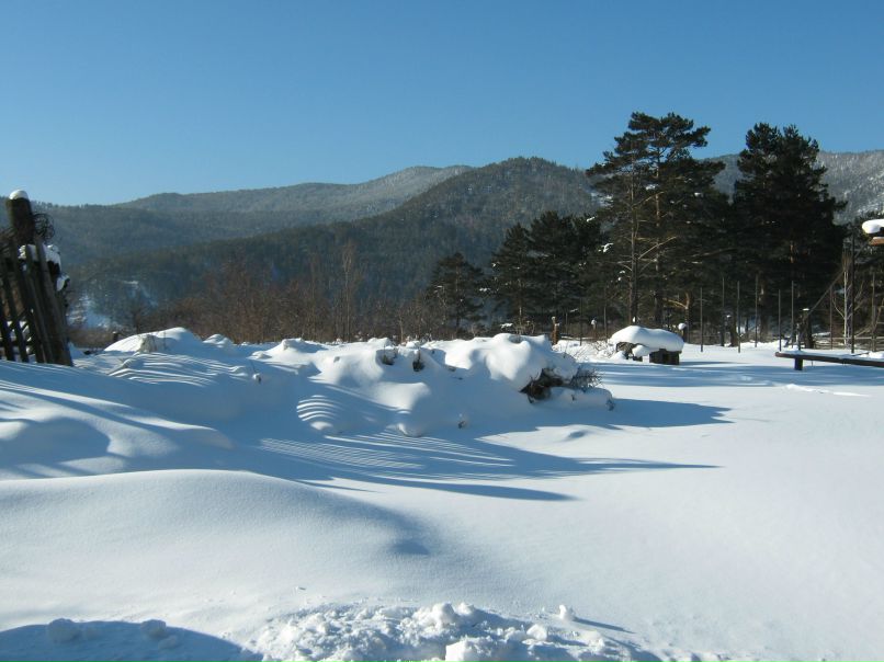 Павел Башкирцев | 