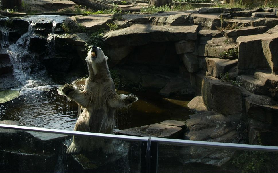 №12, Кирилл Кандеев, 42 года, Нижний Новгород №12, Кирилл Кандеев, 42 года, Нижний Новгород