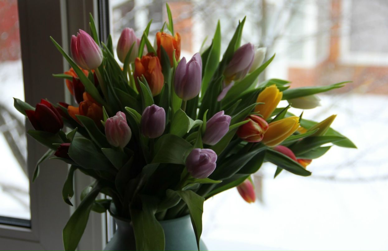 Татьяна Андреева | Москва