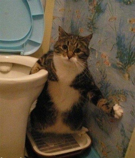 Дима Максимюк | Дивногорск