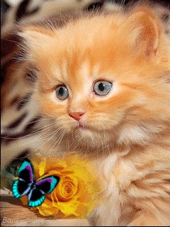 Людмила Хайдукова | Москва