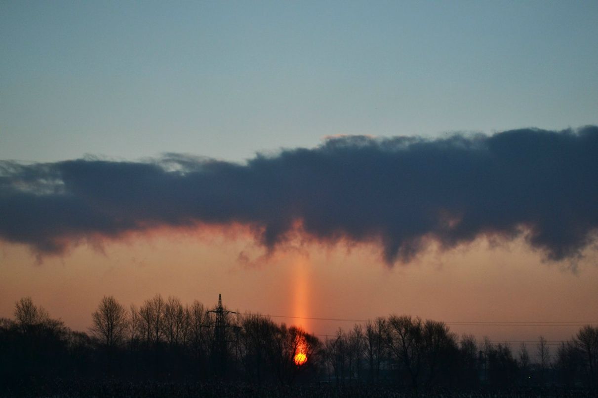Владимир Васильев | Санкт-Петербург