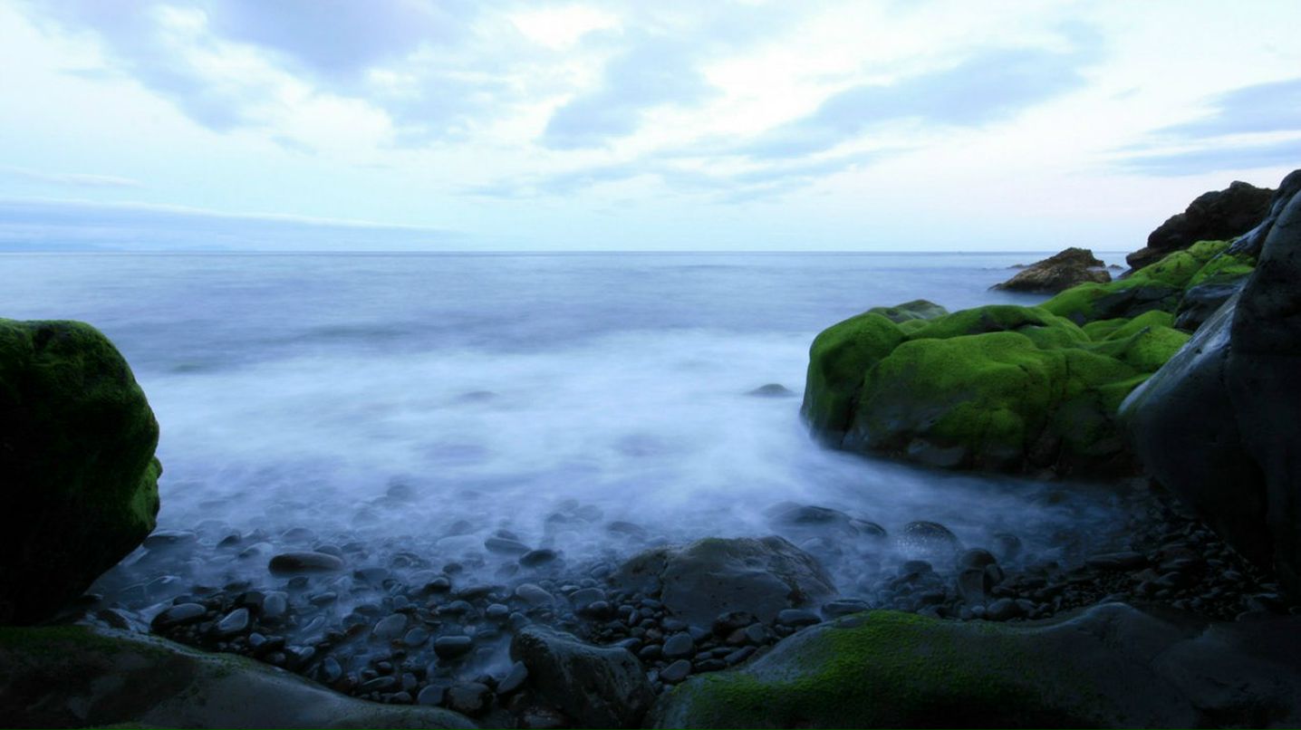 Kingofm Kingofm | Краснодар