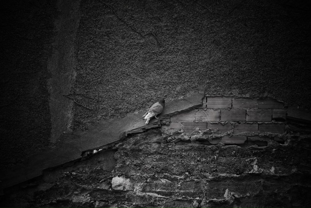 Mikhail Chipurnoi | Москва