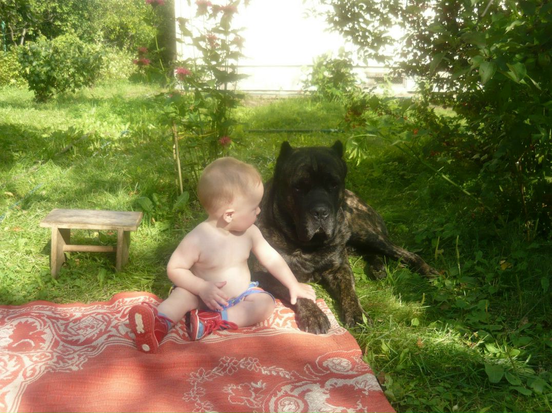 Андрей Мангуст Мангуст | Москва