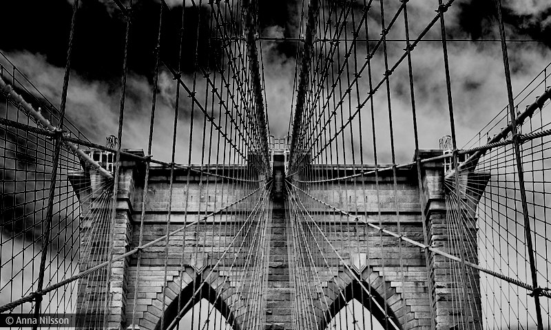 Саня Фалин | 