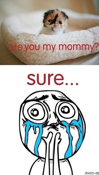 Илья Бобуров | Тюмень