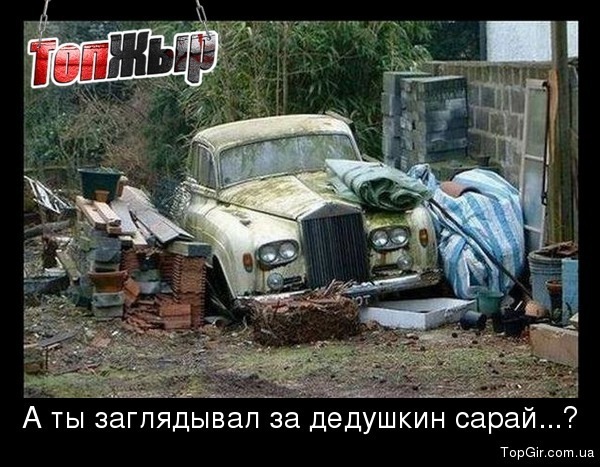 №131, Liberta Amore, Bilbao №131, Liberta Amore, Bilbao