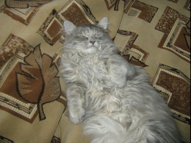 Андрей Рожнов | Москва