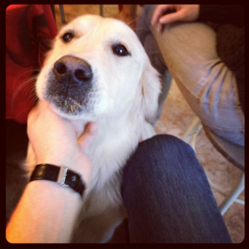 Денис Злоказов | Санкт-Петербург