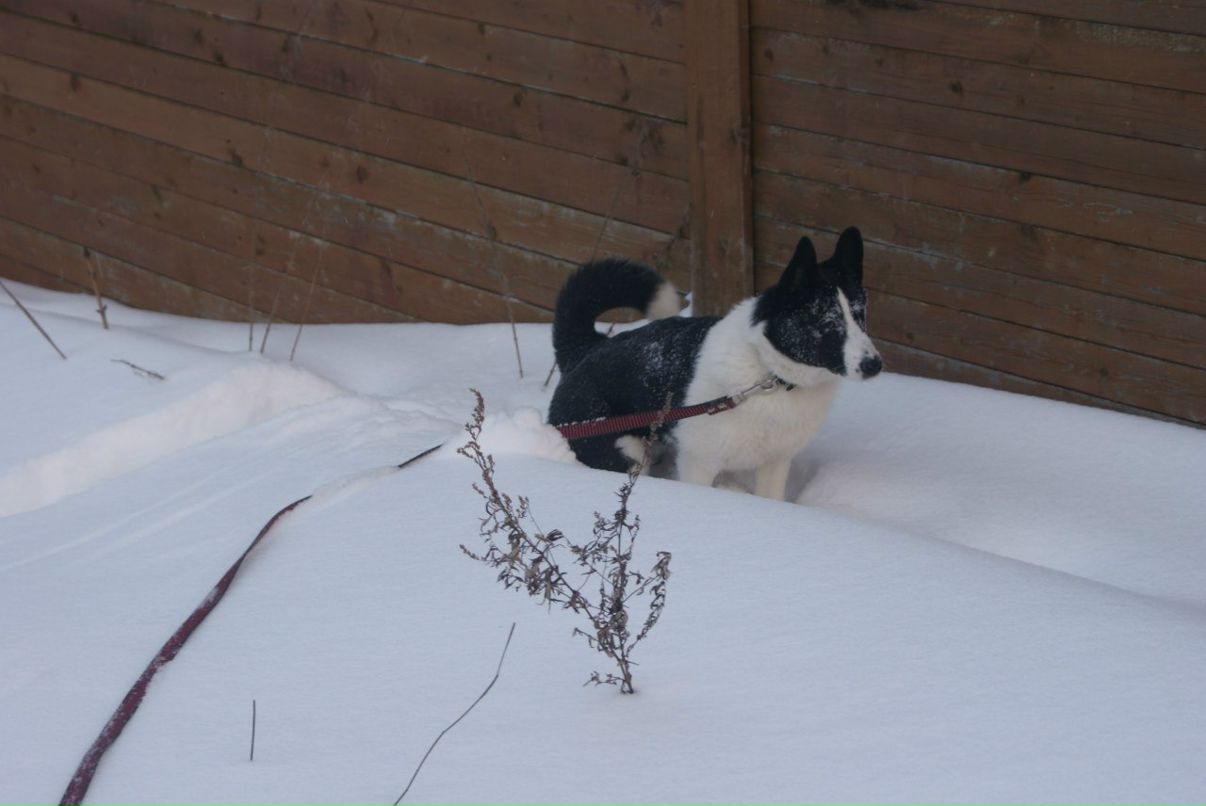 Аня Борт | Москва