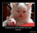 Фотография Милашки Алияшка****
