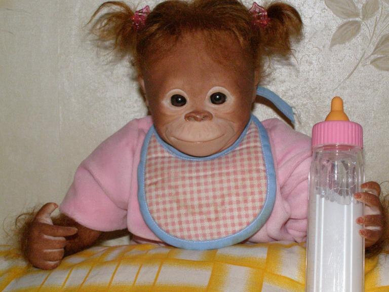 Гражданка Мира | Курск