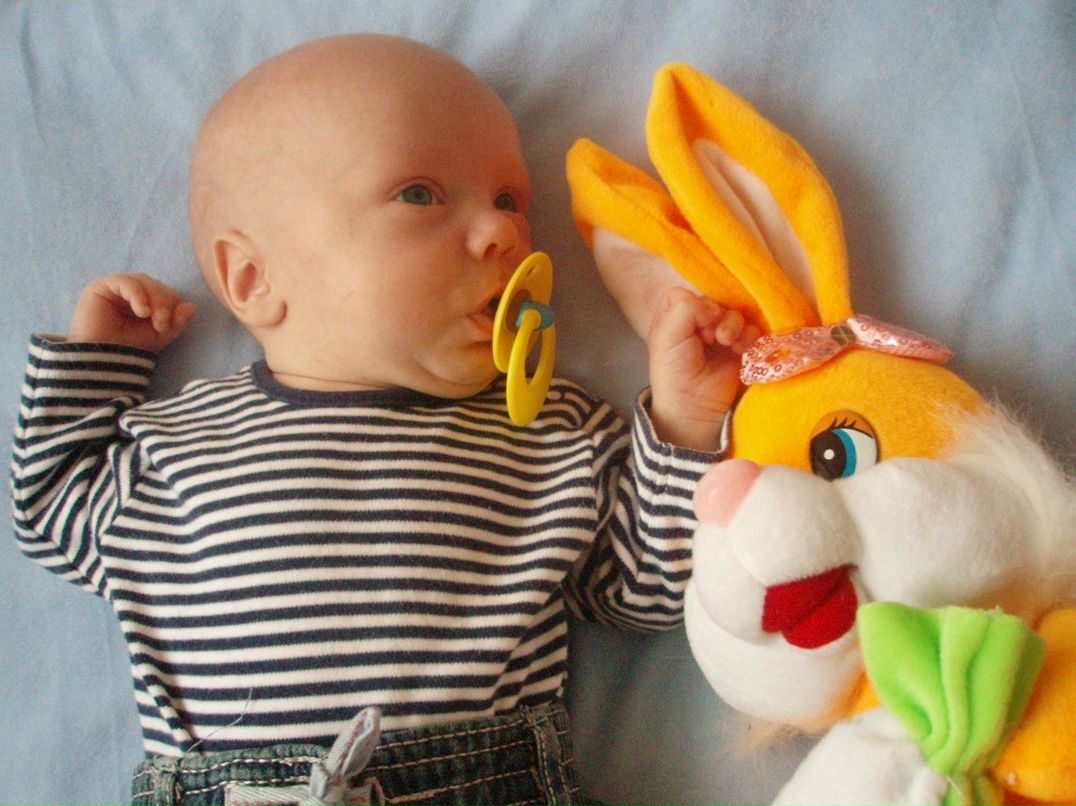 Олена Кравець | Яворов