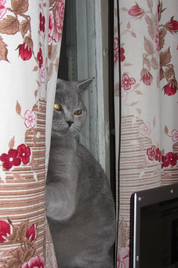 Татьяна Авдеева | Москва