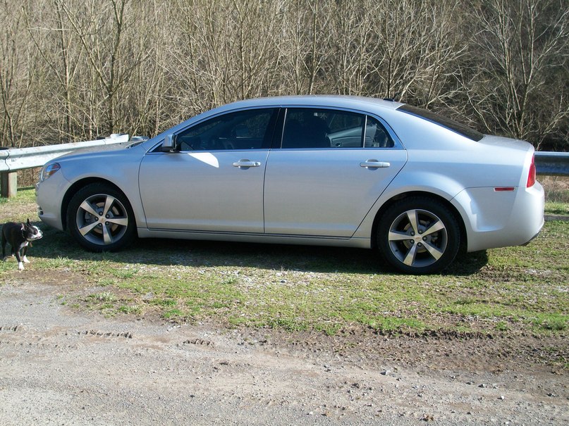 Ирина Браун | 