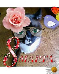 Ира Карпова | Алексеевская